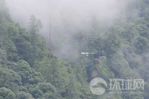 ��ӡ߅����ӡ܊���(b��o)վ���[��ԭʼɭ������