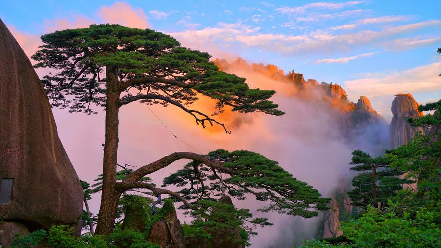 雨后黃山雨后放晴：云海、霞光、瀑布入畫來