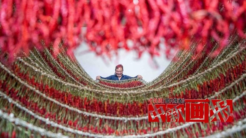 曬秋時(shí)間到！遍地斑斕好“豐”景