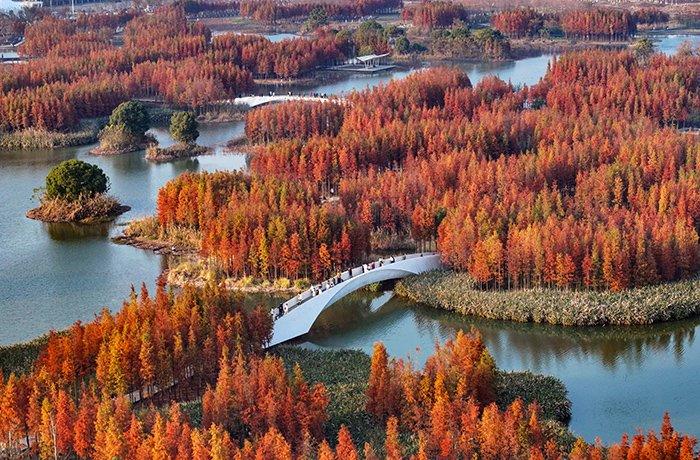 南昌濕地公園色彩斑斕 美若童話(huà)世界