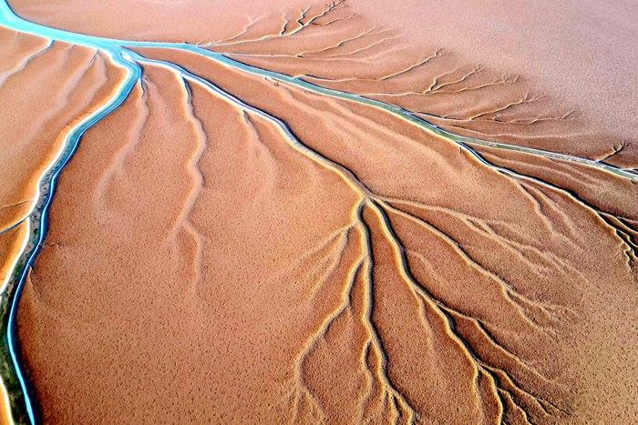 山東東營(yíng)：黃河入?？诂F(xiàn)“潮汐樹”景觀