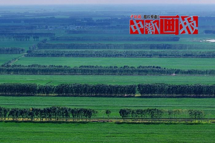 “植”此青綠 “綠色能量”根本收不完！