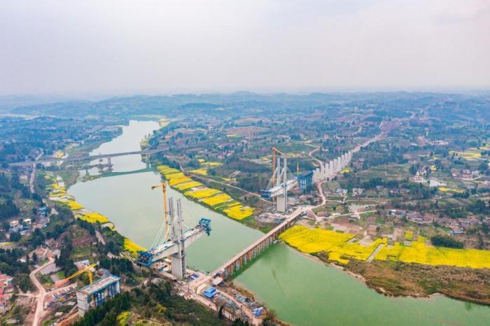 沱江河畔油菜花?！吧暇€”