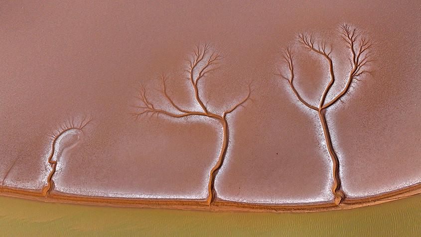 黃河入?？跐竦噩F(xiàn)“潮汐樹(shù)”景觀