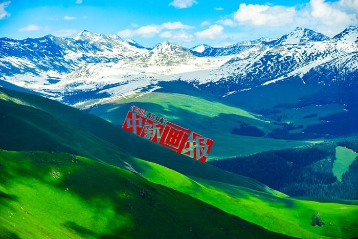 將夏天的“綠” 裝進(jìn)屏幕里，一組護(hù)眼壁紙請(qǐng)查收！