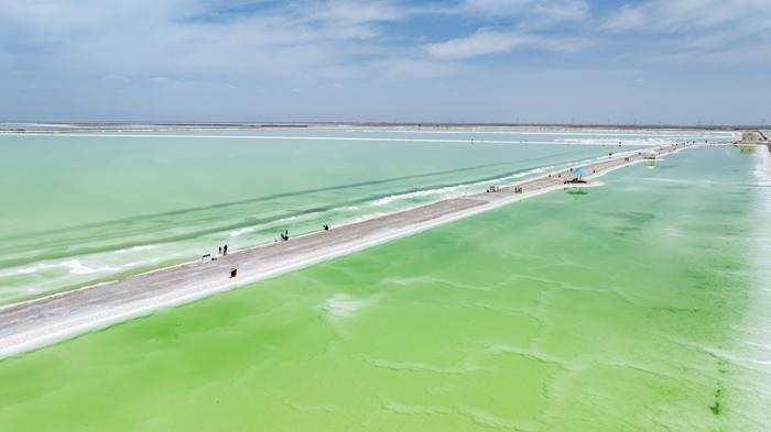 察爾汗鹽湖碧綠宛如翡翠