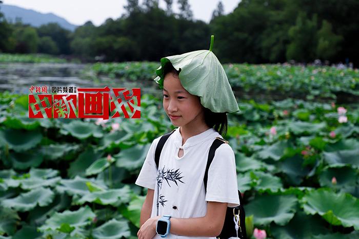 入伏有“涼”方 “花式”避暑輕松Get！