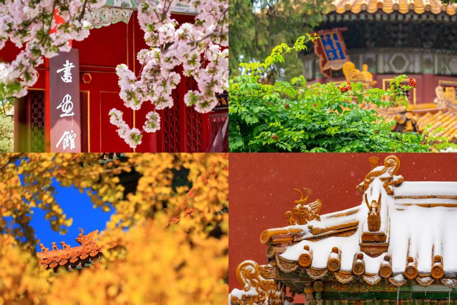 百歲快樂！一組圖領(lǐng)略故宮四季流轉(zhuǎn)之美