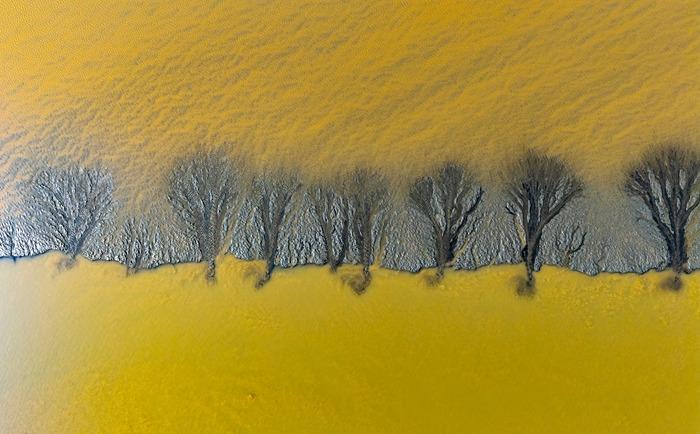 浙江海寧：錢(qián)塘江畔壯美“潮汐樹(shù)”