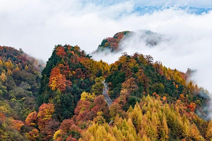 四川旺蒼米倉山萬山紅遍