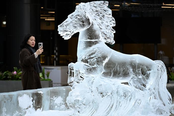 北京街頭馬元素冰雕吸引市民