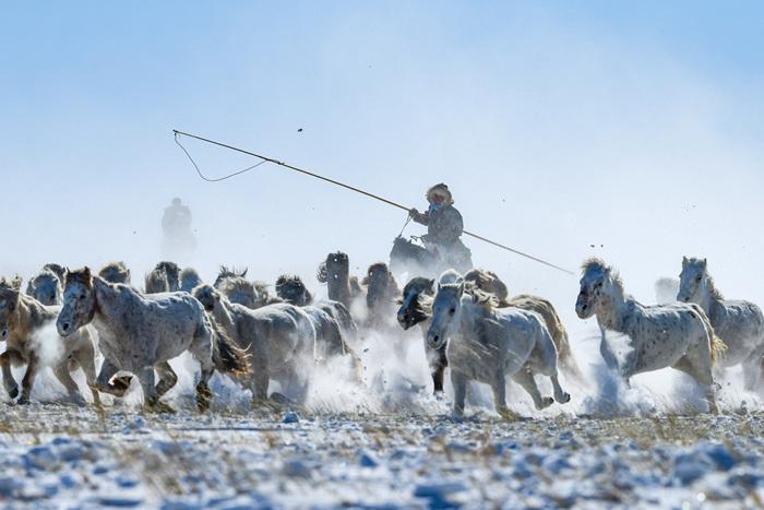 內(nèi)蒙古錫林郭勒：策馬踏雪迎新春