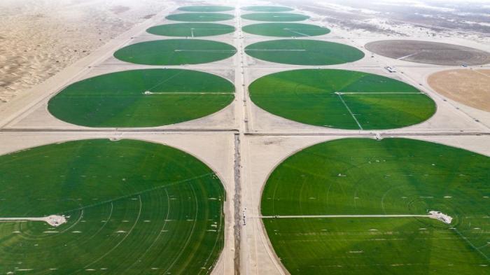 沙地變良田 塔克拉瑪干沙漠邊緣現(xiàn)“綠色圓盤(pán)”