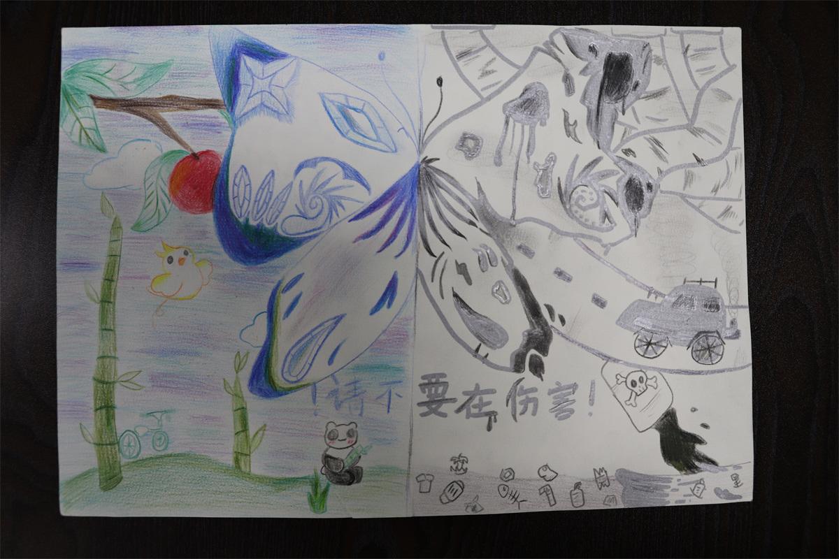 《請不要再傷害！》孫妙然 11歲