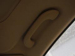 ����(n��i)��ÿ����nϵ܇���w�Forte�����