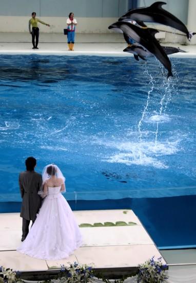 �M�D��һ���׺��������˳䮔(d��ng)���ɰ���