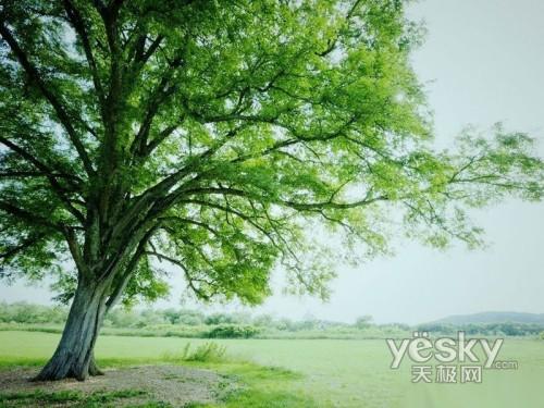 ���ص�s܊�F �������(li��n)��ThinkPad T400s