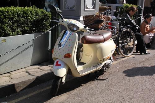 ���ܔ��a���C�Ј� ���M���Pע��ǰʮ��C