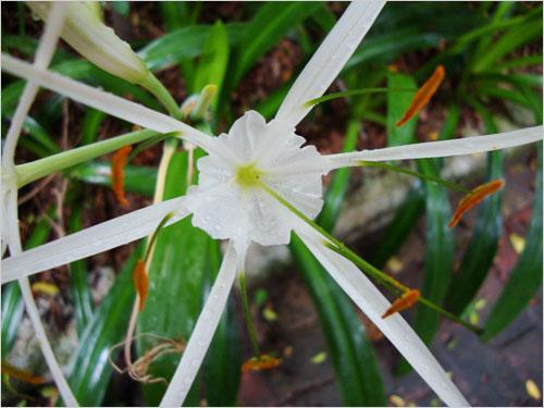 本周數(shù)碼相機市場 消費者關注度前十熱機