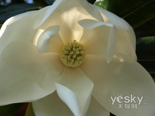 ʮһ���Ό��I(y��)֮�x �Ј����T�η����C(j��)���]