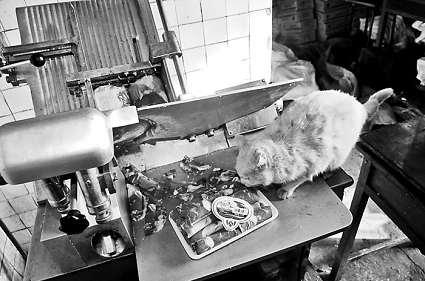 �и�õ���Ƭ�������ϵİ�ɫ��������؈���f����������Ƭ��ؓ(f��)؟(z��)�и���Ƭ��Ů�Ӵ󲿷֕r(sh��)��ҕ����Ҋ(ji��n) ���M�DƬ ����(b��o)ӛ�� ���� �z