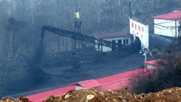 �������P�]Сú�V1355��