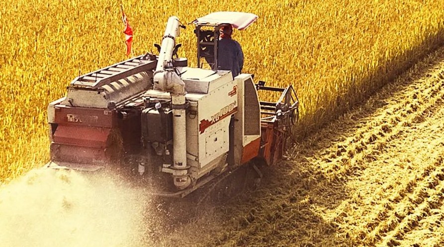 “察實情、辦實事、求實效”，這十句話，振奮人心！