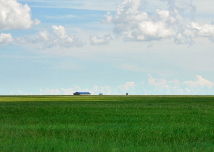 這個夏天，留一幀給“呼倫貝爾綠”