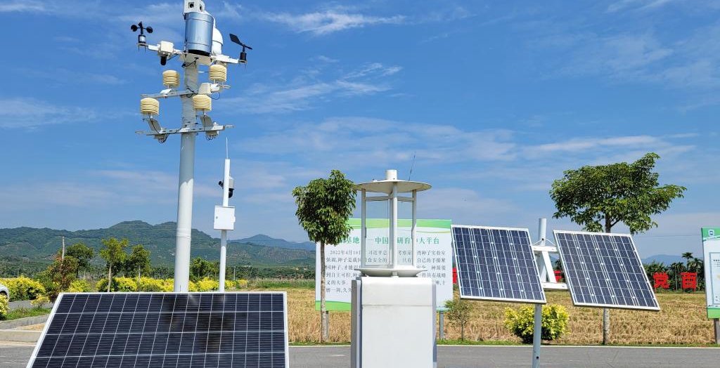 探訪在種業(yè)科研和創(chuàng)業(yè)熱土中成長的三亞“南繁硅谷”<p>晚秋的三亞，午間陽光依然炙熱。在崖州區(qū)壩頭南繁基地，由太陽能電池板提供能源，生態(tài)監(jiān)測系統(tǒng)、物聯網蟲情信息采集系統(tǒng)不間斷工作。<p>