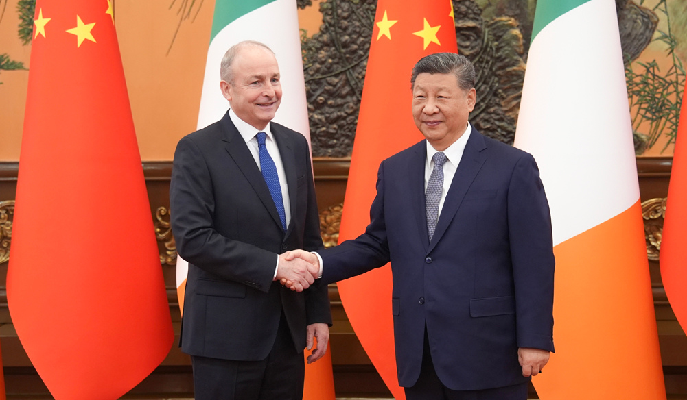 習近平會見愛爾蘭總理馬丁