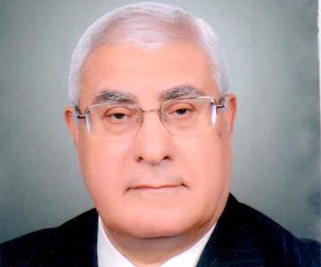 快訊:埃及憲法法院院長曼蘇爾就任臨時總統(tǒng)