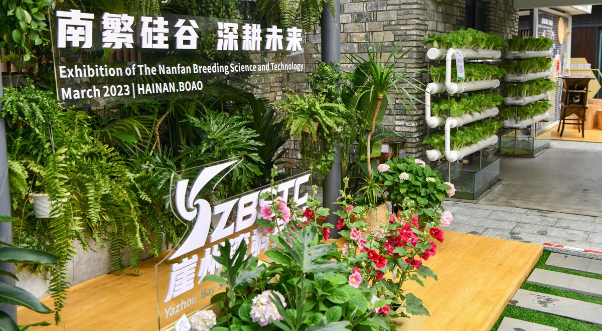 三亞攜南繁果實、深海利器亮相博鰲亞洲論壇年會