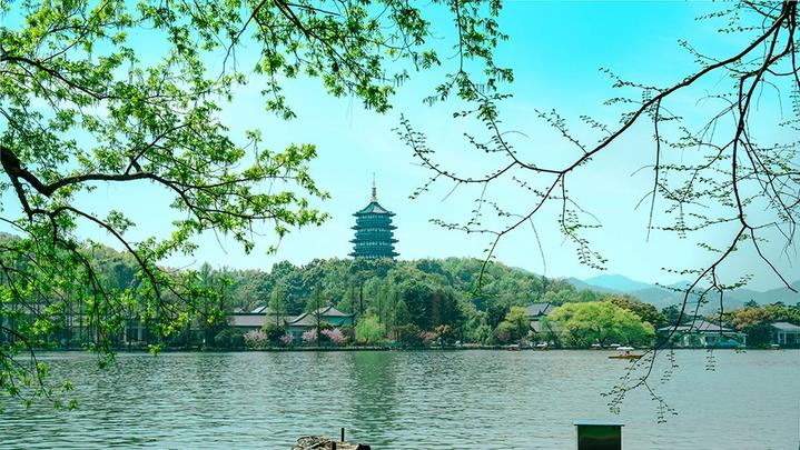 江山如此多嬌 | 西湖美景，八月天吶