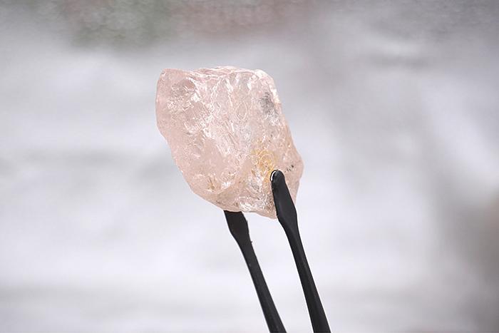 最大粉鉆長啥樣？