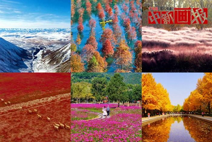 初冬至 大自然多彩冬衣“上新”啦！