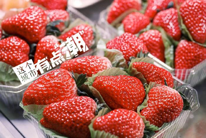 丹東：這一口鮮甜，開啟冬日“莓”好時(shí)光