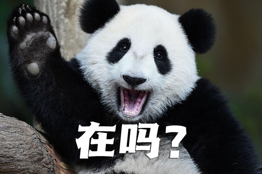 【世界微笑日特刊】嘿嘿，今天你笑了嗎？